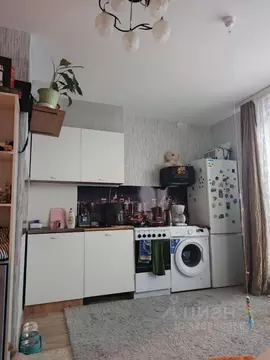 Студия Челябинская область, с. Аргаяш ул. Механизаторов, 4 (23.9 м)