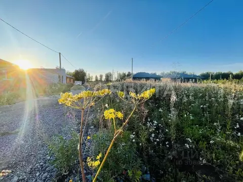 Участок в Тюменская область, Тюменский район, с. Перевалово  (10.0 ...