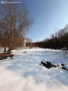 Участок в Пересвет, улица Строителей (6 м)
