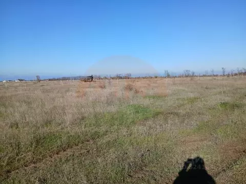 Участок в Крым, Симферопольский район, Николаевка пгт ул. Ленина (6.0 ...