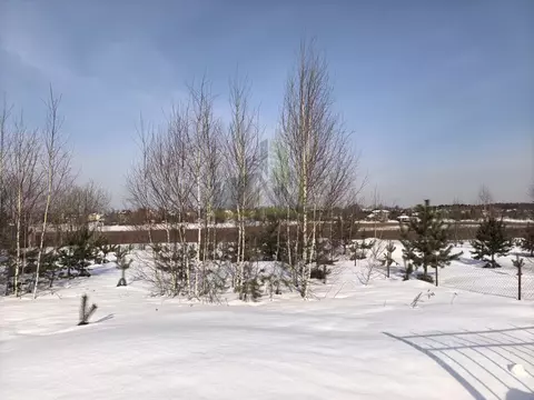 Участок в Московская область, Раменский муниципальный округ, ...