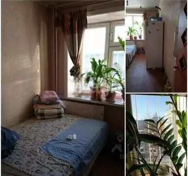 1-к кв. Амурская область, Благовещенск Октябрьская ул., 197 (39.9 м)