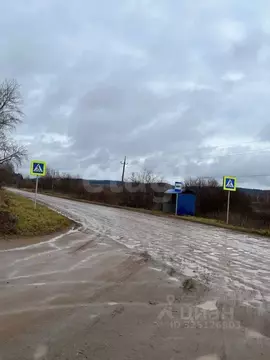 Участок в Пермский край, Пермский муниципальный округ, д. Горшки ул. ...