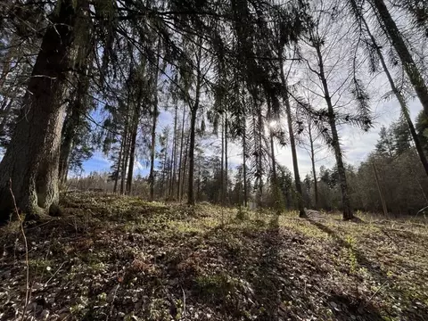 Участок в Ленинградская область, Всеволожский район, Куйвозовское ...