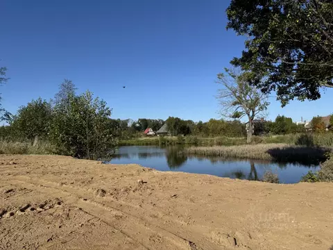 Участок в Калининградская область, Светлогорск Радуга СНТ, 7-я линия ...