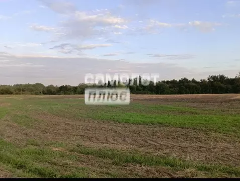 Участок в Курская область, Курский район, Нижнемедведицкий сельсовет, ...