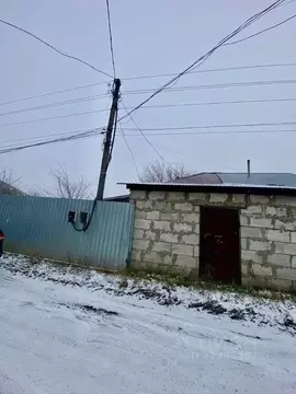 Дом в Алтайский край, Бийск  (40 м)