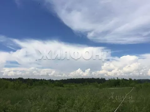 Участок в Новосибирская область, Мошковский район, Индия кп, ...