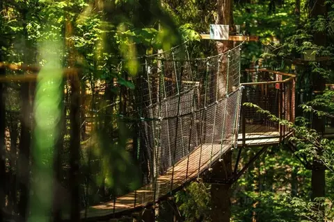 Комната Московская область, Пересвет Сергиево-Посадский район, ...