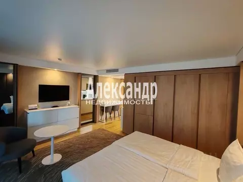 Студия Санкт-Петербург ул. Салова, 61 (42.6 м)