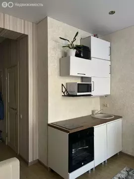 Квартира-студия: Сочи, Высокогорная улица, 48А (20.9 м)