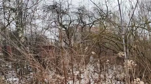 Участок в Московская область, Щелково с. Амерево,  (16.13 сот.)