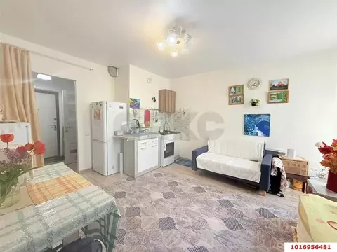 Студия Краснодарский край, Краснодар Новознаменский жилрайон, ул. ...