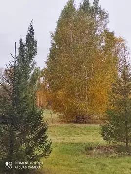 Участок в Омская область, Омск ул. 7-я Кировская (3.5 сот.)