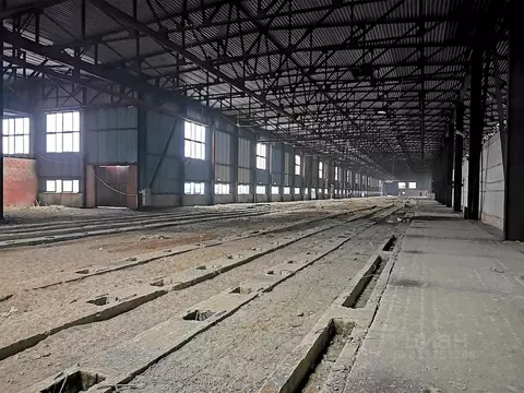 Производственное помещение в Ленинградская область, Никольское ...