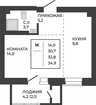 1-к кв. Алтайский край, Барнаул тракт Павловский, 251Б (32.8 м)