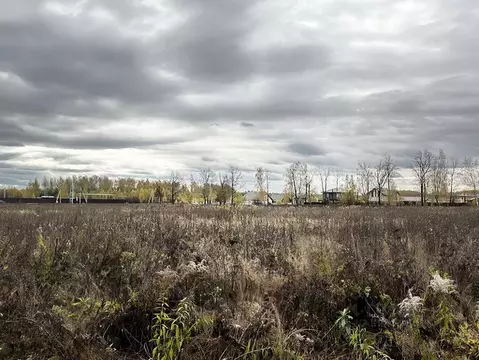 Участок в Московская область, Раменский муниципальный округ, пос. ...