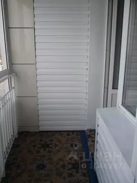 Студия Красноярский край, Красноярск ул. Карамзина, 12 (27.0 м)