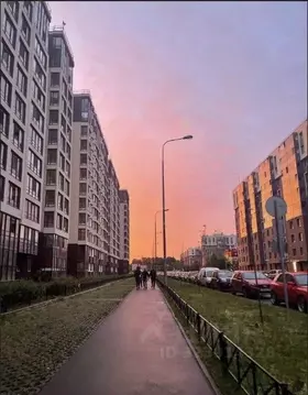 Студия Санкт-Петербург просп. Ветеранов, 171к1 (24.0 м)