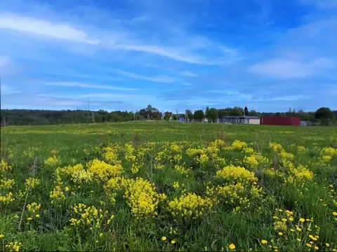 Участок в Московская область, Солнечногорск городской округ, д. ...