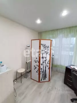 Студия Вологодская область, Вологда ул. Чернышевского, 137 (24.0 м)