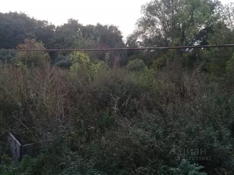 Участок в Самарская область, Кинельский район, Сколково с/пос, с. ...