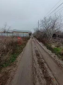 Участок в Ростовская область, Новочеркасск № 16 садовое товарищество, ...