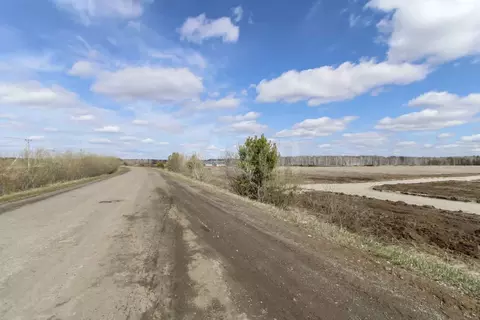 Участок в Тюменская область, Тюменский муниципальный округ, д. Елань ...