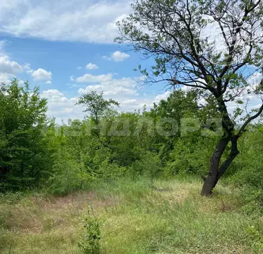 Дом в Ростовская область, Октябрьский район, пос. Персиановский, ...