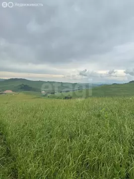 Участок в Алтайский район, ДНТ Жемчужина Алтая (9 м)