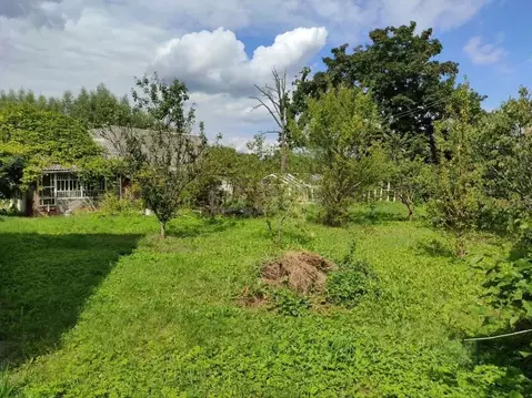 Участок в Калининградская область, Советск ул. Ленина (12.0 сот.)