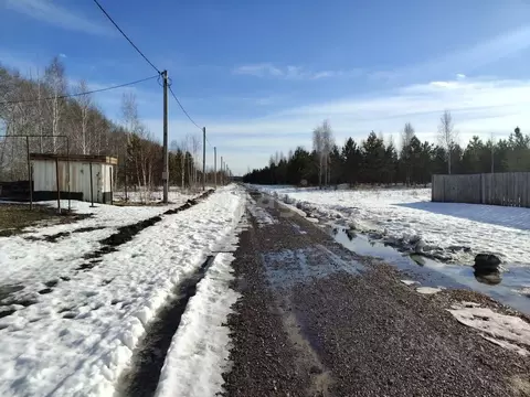 Участок в Курганская область, Шадринский муниципальный округ, с. Ключи ...