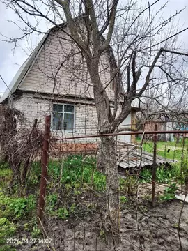 Дом в Тамбовская область, Тамбов Коммунальник СНТ,  (36 м)
