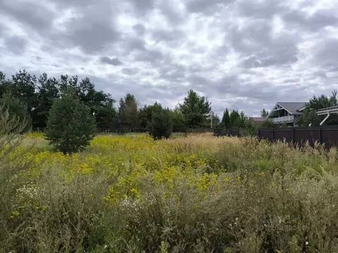 Участок в Московская область, Раменский муниципальный округ, с. Речицы ...