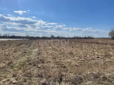 Участок в Псковская область, Псковский район, Логозовская волость, д. ...