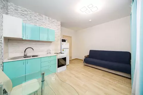 Студия Пермский край, Пермь ул. Агатовая, 36 (20.5 м)