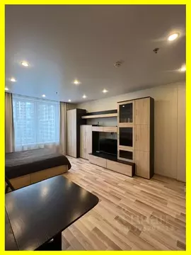 Студия Санкт-Петербург ул. Хошимина, 16А (28.0 м)