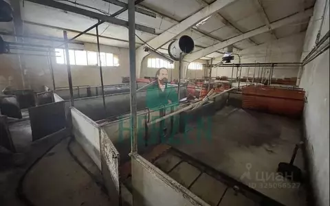 Производственное помещение в Москва д. Кузнецово,  (52000 м)