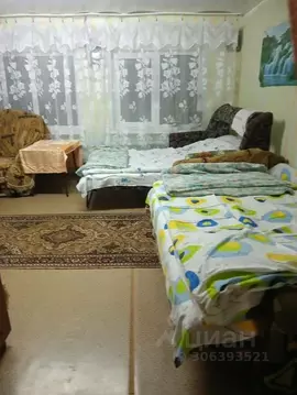 Дом в Нижегородская область, с. Дивеево ул. Ситнова, 8 (15 м)