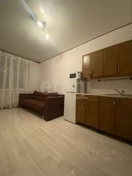 Студия Башкортостан, Уфа Рижская ул., 1/4 (16.5 м)