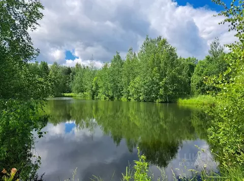 Участок в Московская область, Сергиево-Посадский городской округ, ...