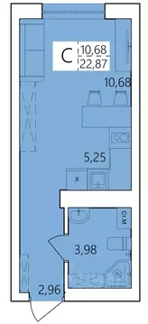 Студия Башкортостан, Уфа ул. Пожарского, 237 (22.87 м)