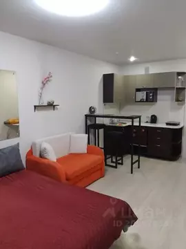 Студия Кировская область, Киров Луговой пер., 1 (25.0 м)