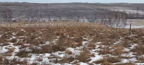 Участок в Красноярский край, Емельяновский район, пос. Солонцы ул. ...