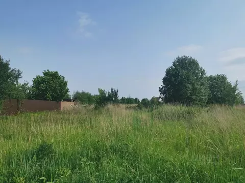 Участок в Владимирская область, Суздальский район, Павловское ...