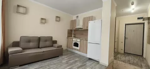 Студия Москва Ботаническая ул., 33Вс1 (25.0 м)