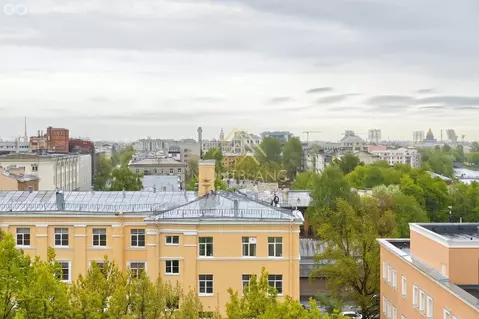 1-комнатная квартира: Санкт-Петербург, Пионерская улица, 50 (37.4 м)