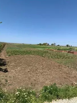 Участок в Краснодарский край, Темрюкский район, Новотаманское с/пос, ...