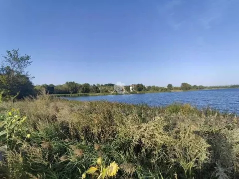 Участок в Белгородская область, Белгородский район, Яснозоренское ...