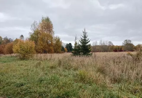 Участок в Московская область, Можайский муниципальный округ, д. ...